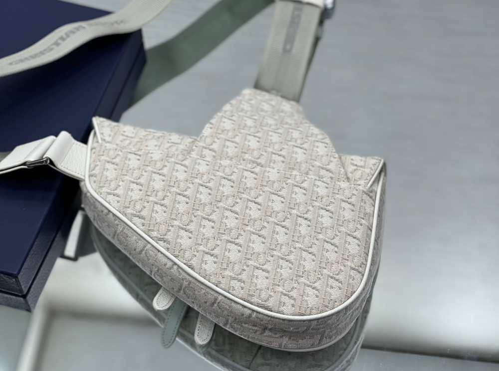 Christian Dior Saddle 26 cm