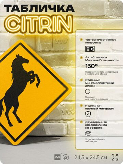 Табличка прикольная "Осторожно, лошадь" на дверь и стену, информационная и предупреждающая, декоративный знак, 24,5х24,5 см, пластиковая, Айдентика Технолоджи