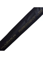 Спиннинг Maximus RESIDENT JIG 198ML 1,98m 4-21g