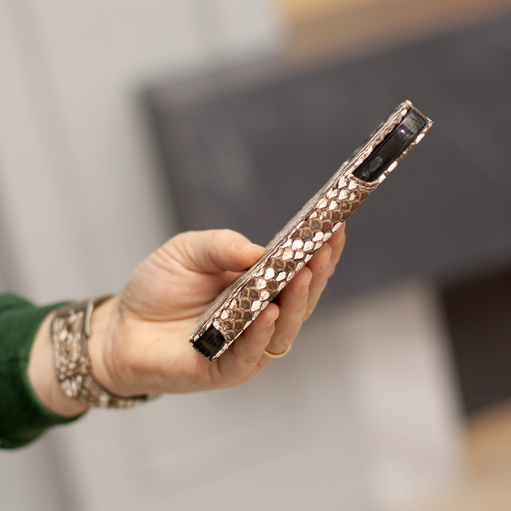 Чехол-книжка кожаная для iPhone 17 Pro, питон натурального цвета