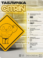 Табличка декоративная "Стьюи качок" из сериала Гриффины на дверь и стену, прикольная штука в подарок фанату, декоративный знак ЦИТРИН, 24,5х24,5 см, пластиковая, Айдентика Технолоджи