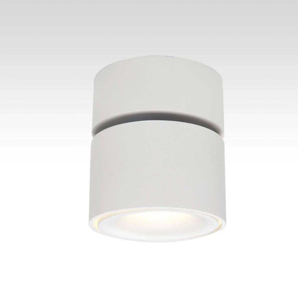 Citilux Стамп CL558010N LED Светильник накладной Белый