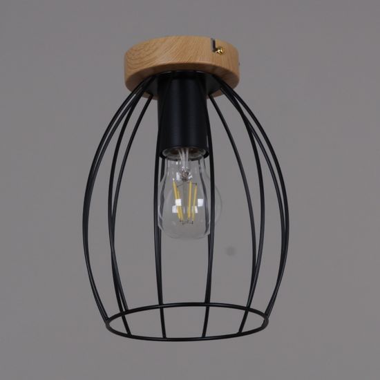 IL1011-1C-05 BK светильник потолочный