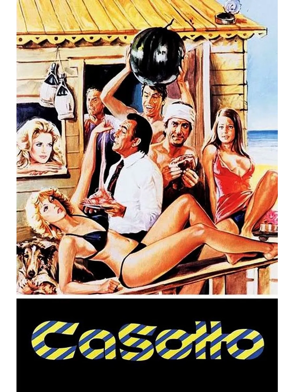 Пляжный домик (1977) (DVD-R)