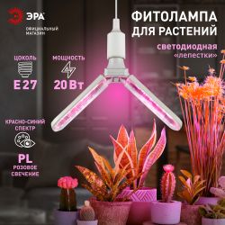 Фитолампа для растений светодиодная ЭРА GREEN LINE ФИТО-20W-PL-E27-GR 2-х лепестковая красно-синего спектра 20 Вт Е27