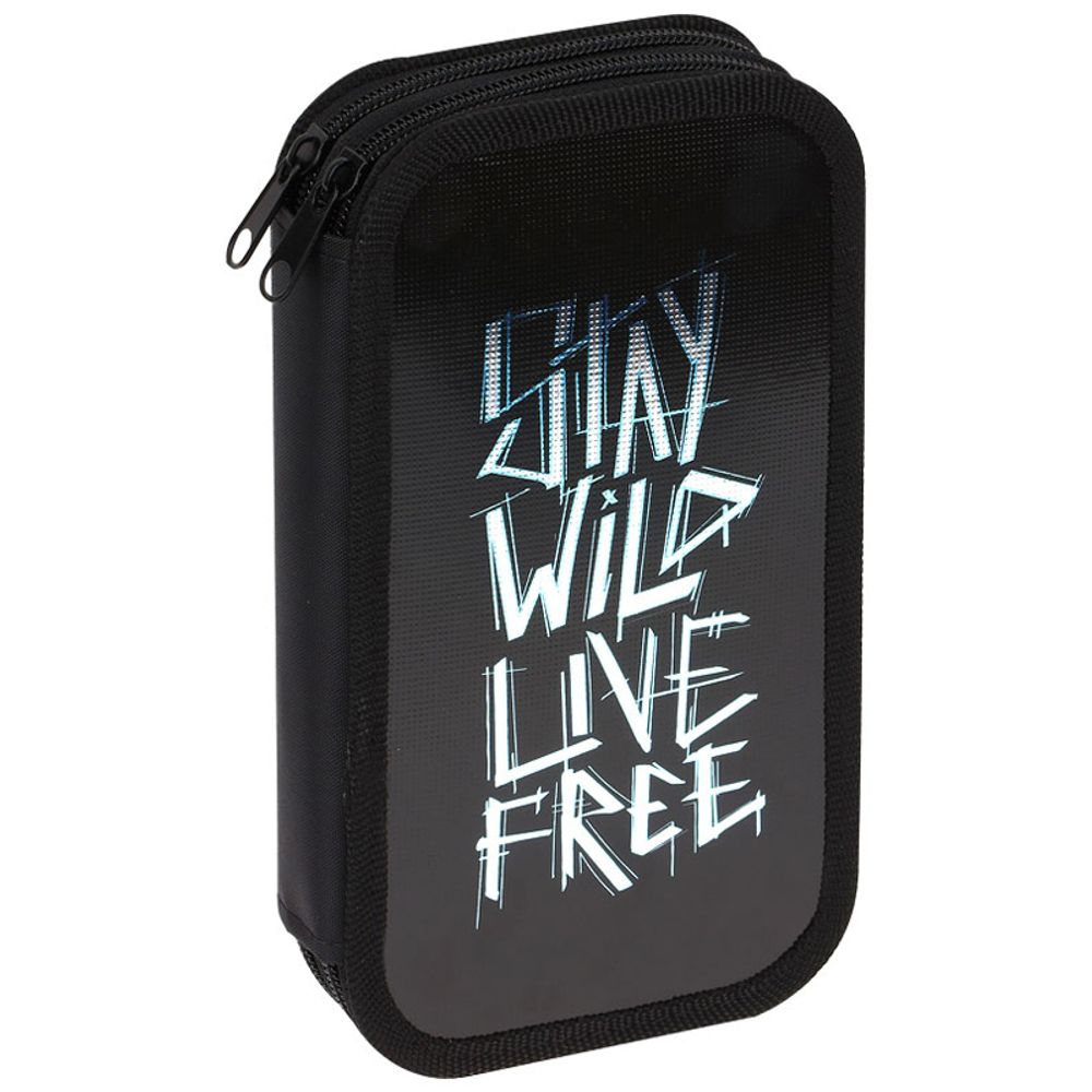 Пенал 2 отделения, 190*110 ArtSpace "Free", ламинированный картон, фольга