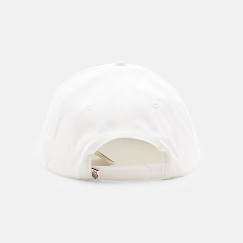 Кепка Dickies Latty Dad Cap артикул:DK0A888EC481 - купить в магазине Дайс