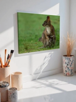 Картина на стену 40 X 50 Сумчатые