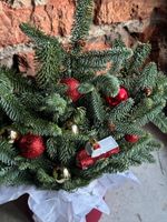 Коробка из нобилиса