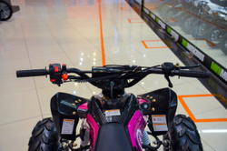 MOTAX ATV T-Rex LUX 125 сс Черно-розовый