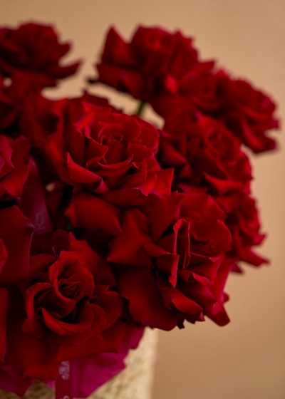 Композиция в плетеной корзине из 27 эквадорских вывернутых роз