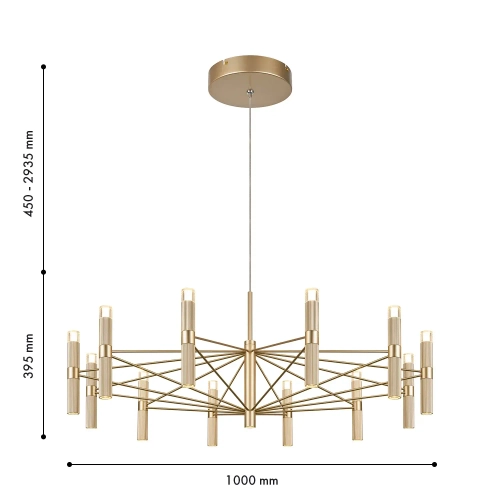 Подвесная светодиодная люстра Favourite Blick 4759-12P