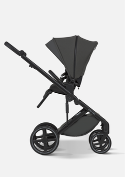 Anex Детская коляска Mev 2 в 1 Ditto