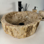 Каменная раковина из окаменелого дерева OD-04350 (47*42*16) 0175 из натурального камня