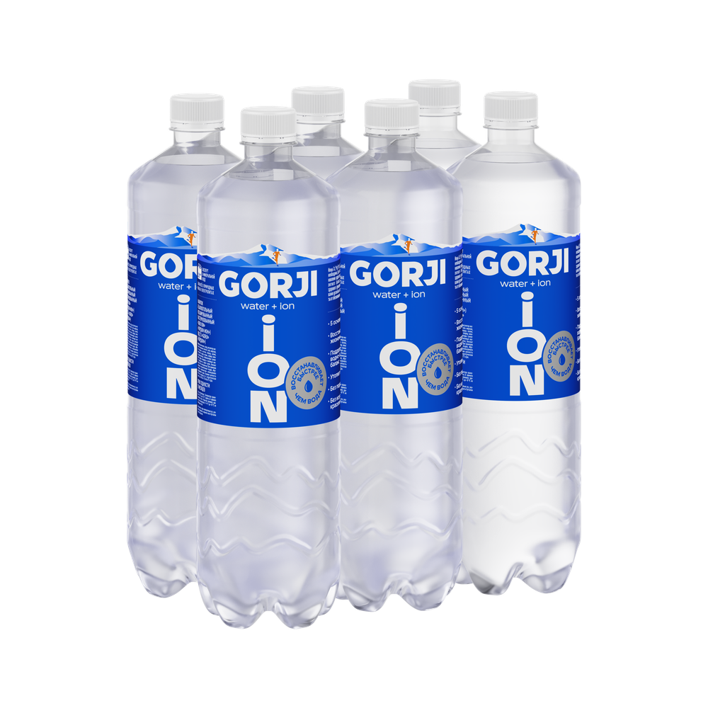 GORJI Горджи ION 1 л, упаковка 6 шт