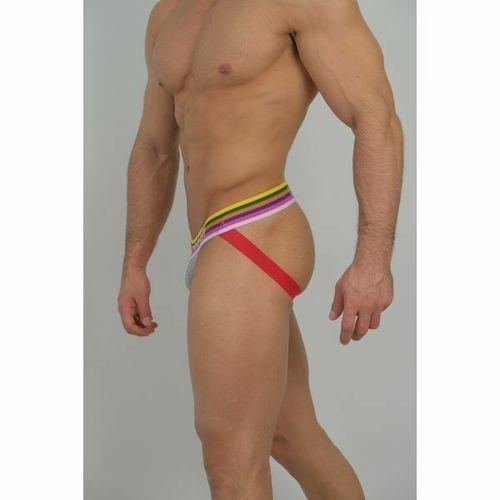 Мужские джоки серые Van Baam VB-43614