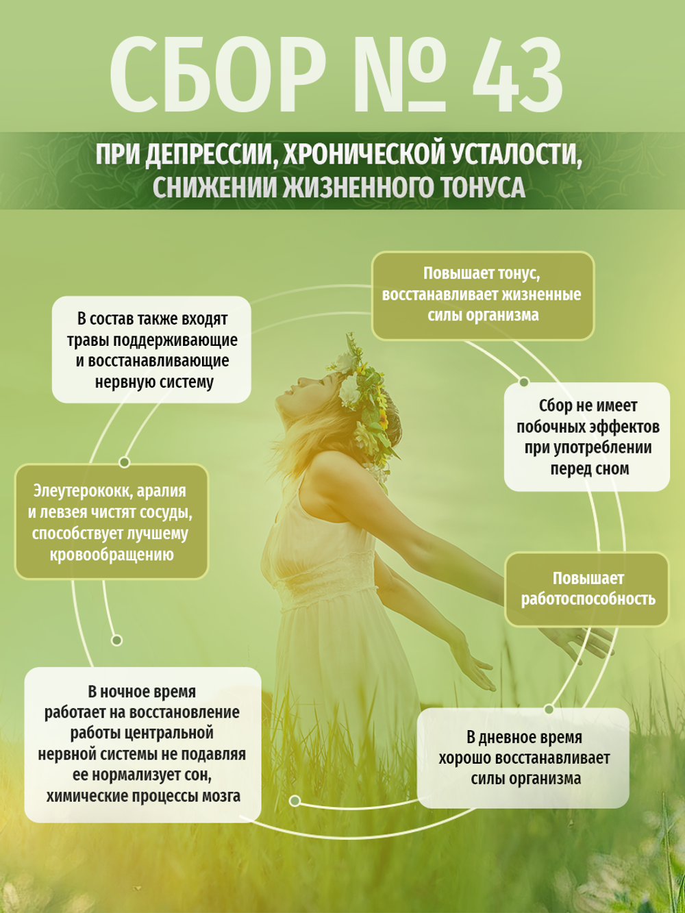 Сбор № 43 При депрессии, хронической усталости, снижении жизненного тонуса.