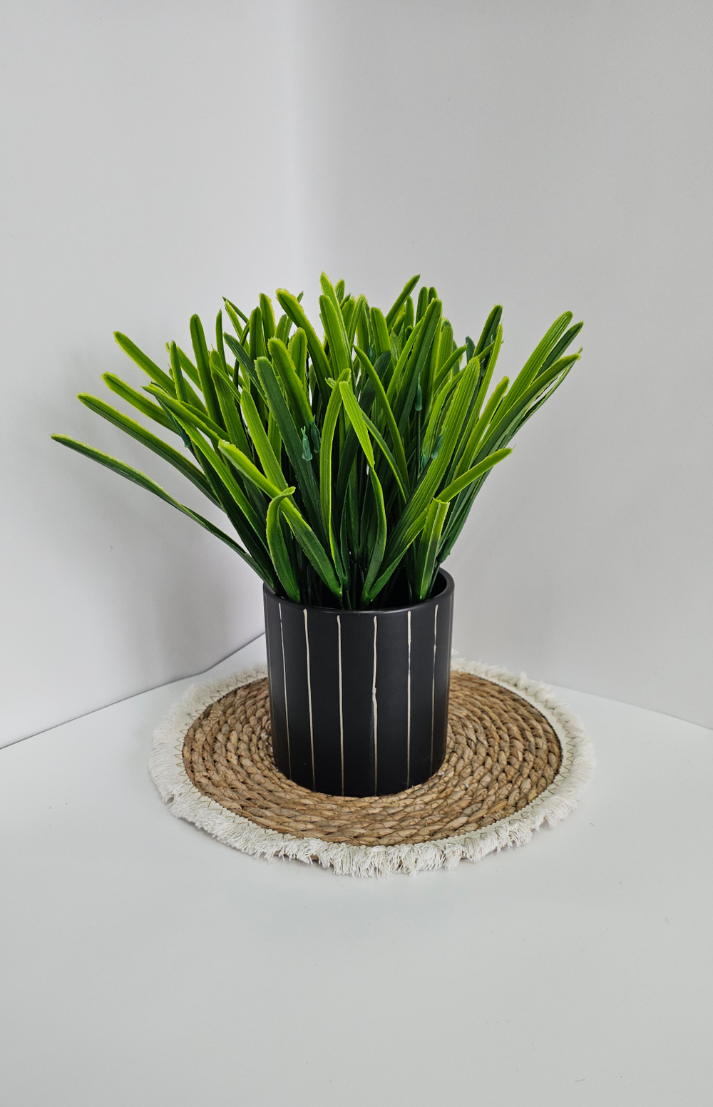 Осока Карекс / Арт 5003