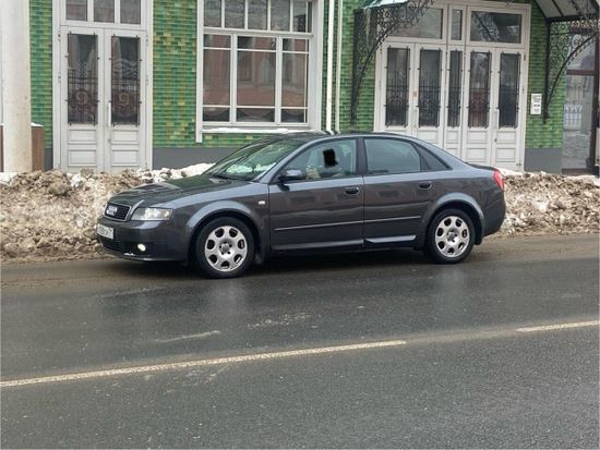 Листва (молдинги) на двери для Audi A4 B6