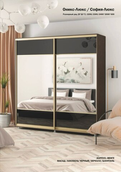Шкаф купе 2 ств. "Оникс-Люкс/София-Люкс/Экон-Люкс"