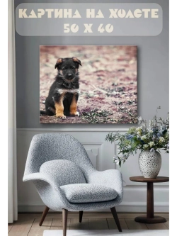 Картина на стену 40 X 50 Собака