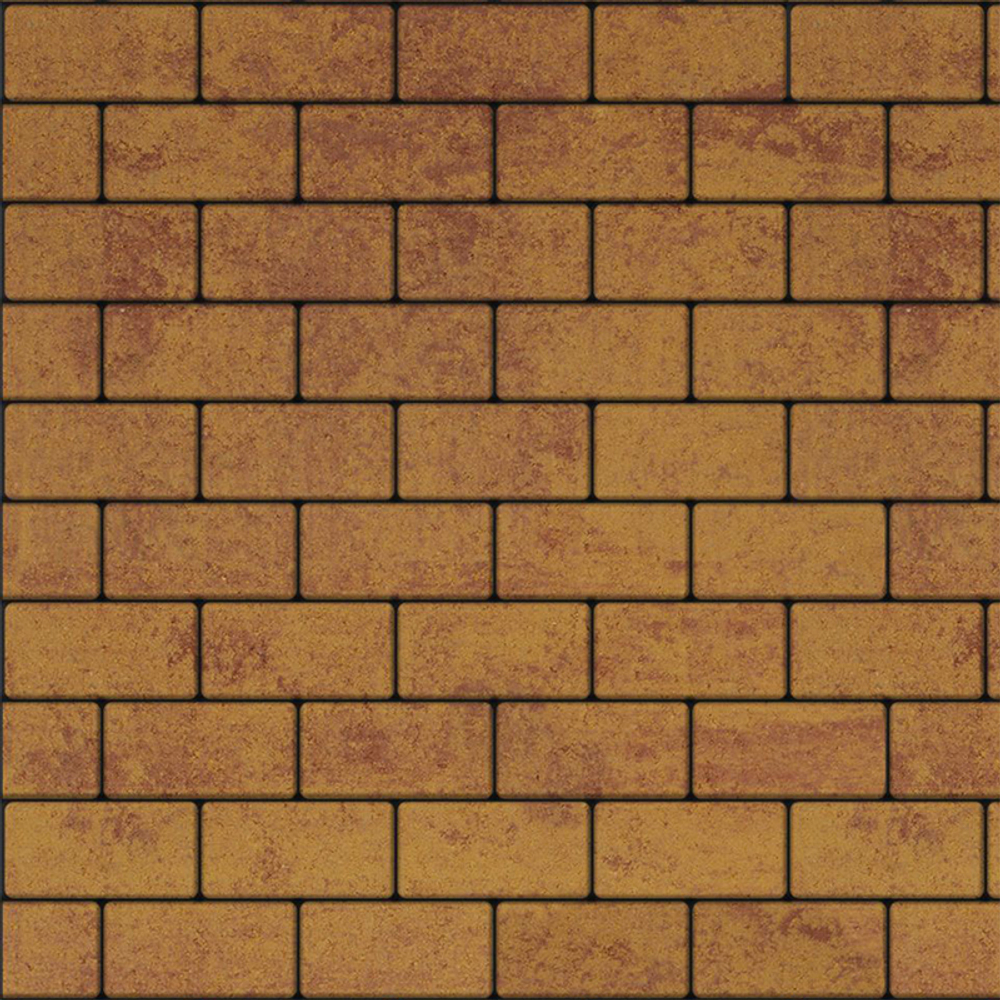 Тротуарная плитка ПРЯМОУГОЛЬНИК 200x100 мм - Листопад гладкий Каир