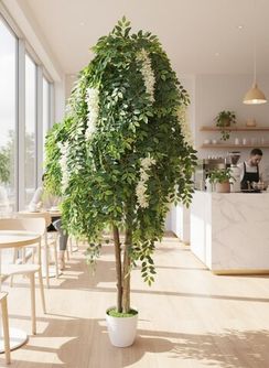 Большие деревья