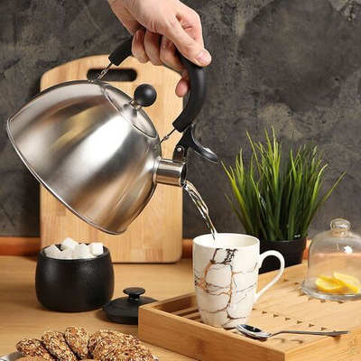 Чайник нерж, 2.5 л, свист, мат, ручк пластик, Daniks, индукц, MSY-021M