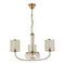 Подвесная люстра Evoluce Ellisse SLE1119-303-03