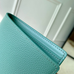 Louis Vuitton Multiple Wallet