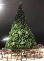 уличная елка ствольная