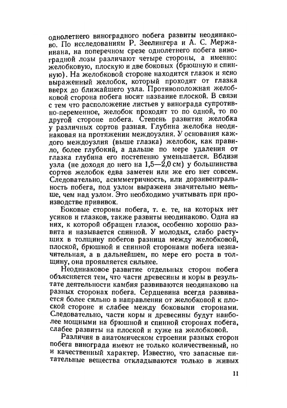 Виноградный питомник | А.Г. Мишуренко