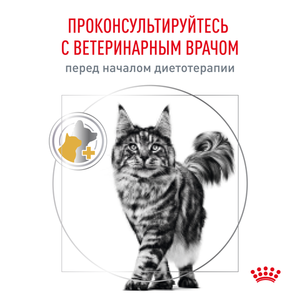 Сухой корм Royal Canin Urinary S/O для взрослых кошек при мочекаменной болезни