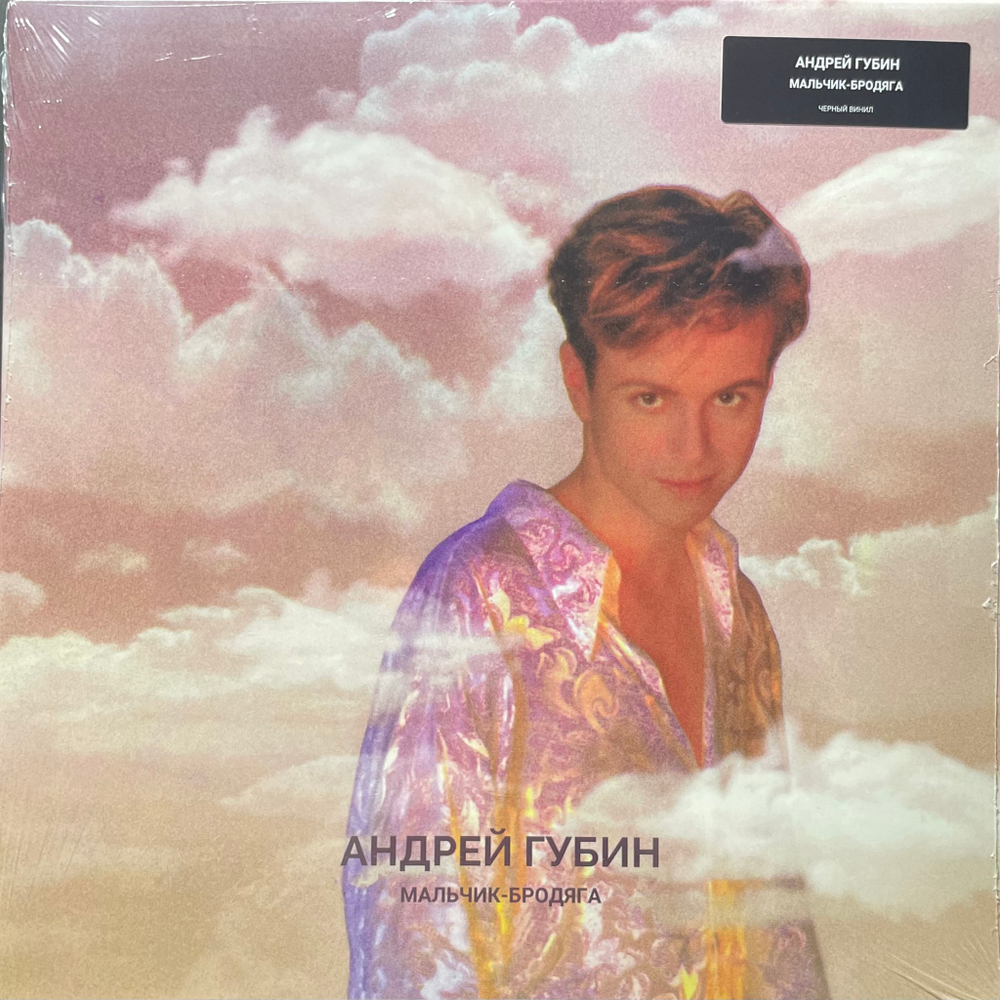 Андрей Губин ‎– Мальчик-Бродяга (Россия 2024г.)
