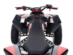 Квадроцикл спортивный  SHARMAX GX-Cruiser 320 (P)