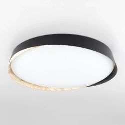 Citilux BONNY CL754451G LED RGB Светильник с пультом Чёрный + Клён