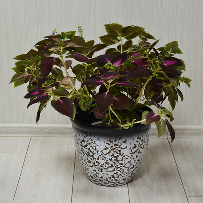 Кашпо Тирамису 30см h25см