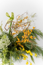 Зимний букет “green dragon”