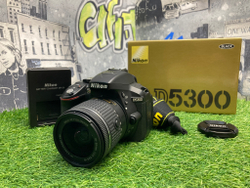 Nikon D5300 kit AF-P 18-55mm 3.5-5.6G VR 2.500 кадров