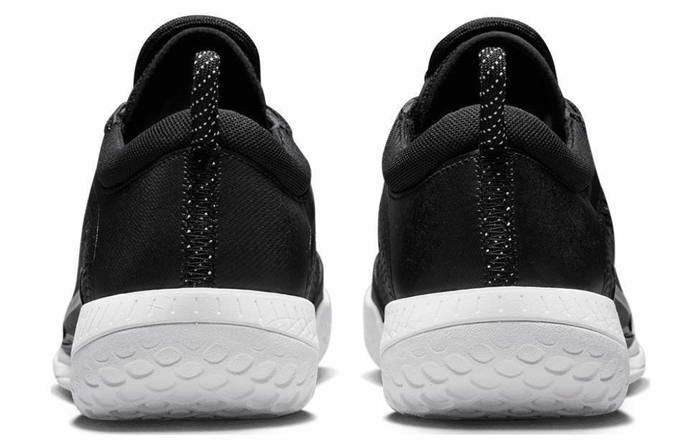 Кроссовки Nike Court Zoom Nxt Hc