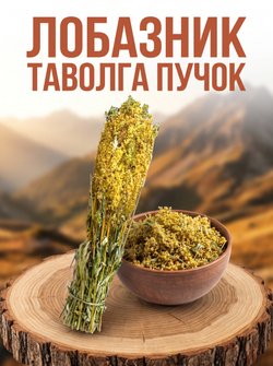 Таволга (пучок)