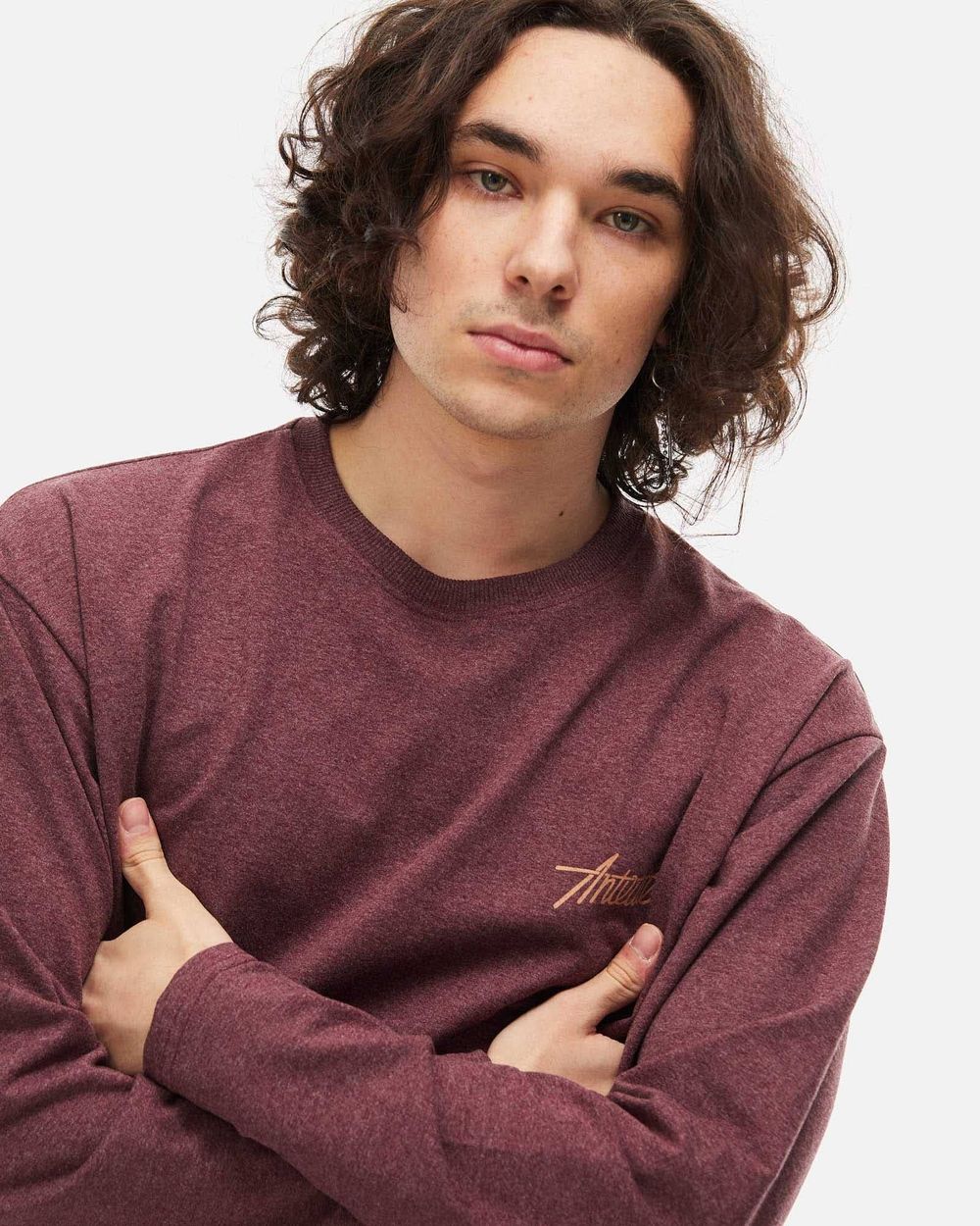 Лонгслив Anteater Phat Long 104 бордовый