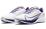 Кроссовки Nike Pegasus 37 "Minnesota Vikings"
