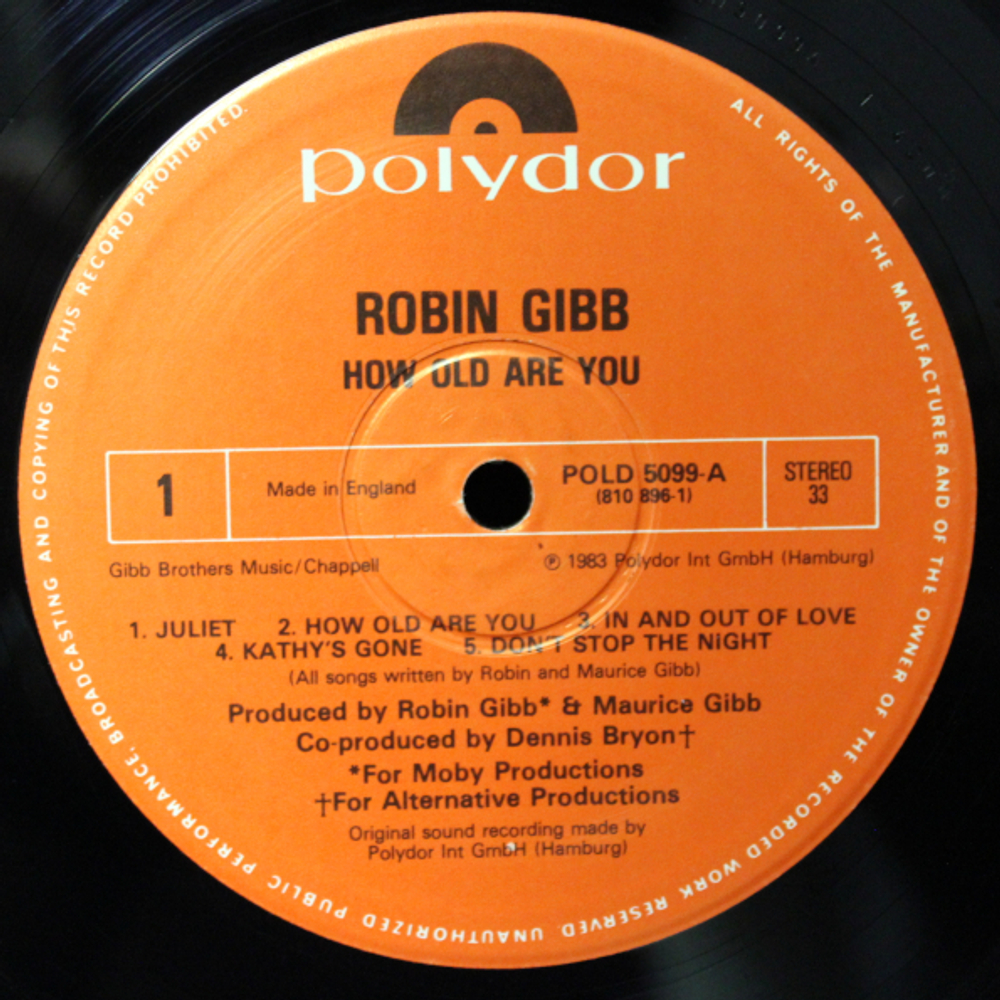 Robin Gibb / How Old Are You? (LP)