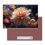 Альбом для рисования А4 24л., Alingar, на скрепке, мелованный картон (стандарт) 210 г/м2, офсет 100 г/м2, "Цветы", 4 дизайна в пленке т/у