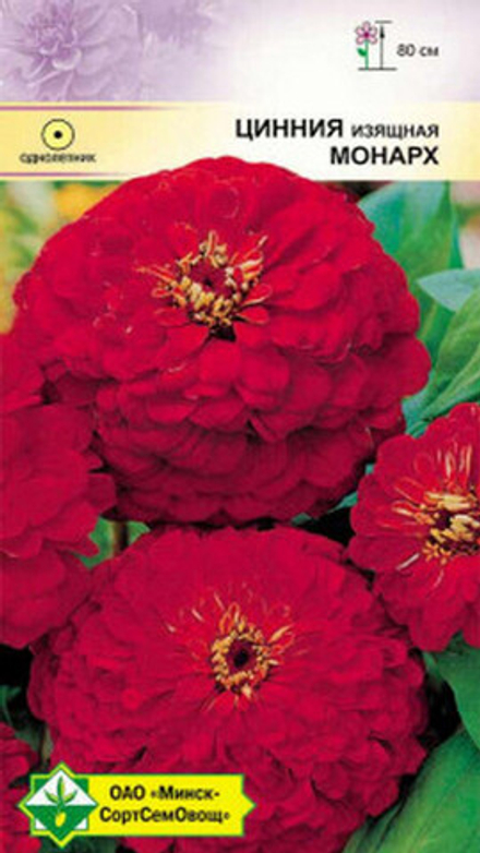 Цинния изящная георгиноцветная "Монарх" 0.5г, Германия.