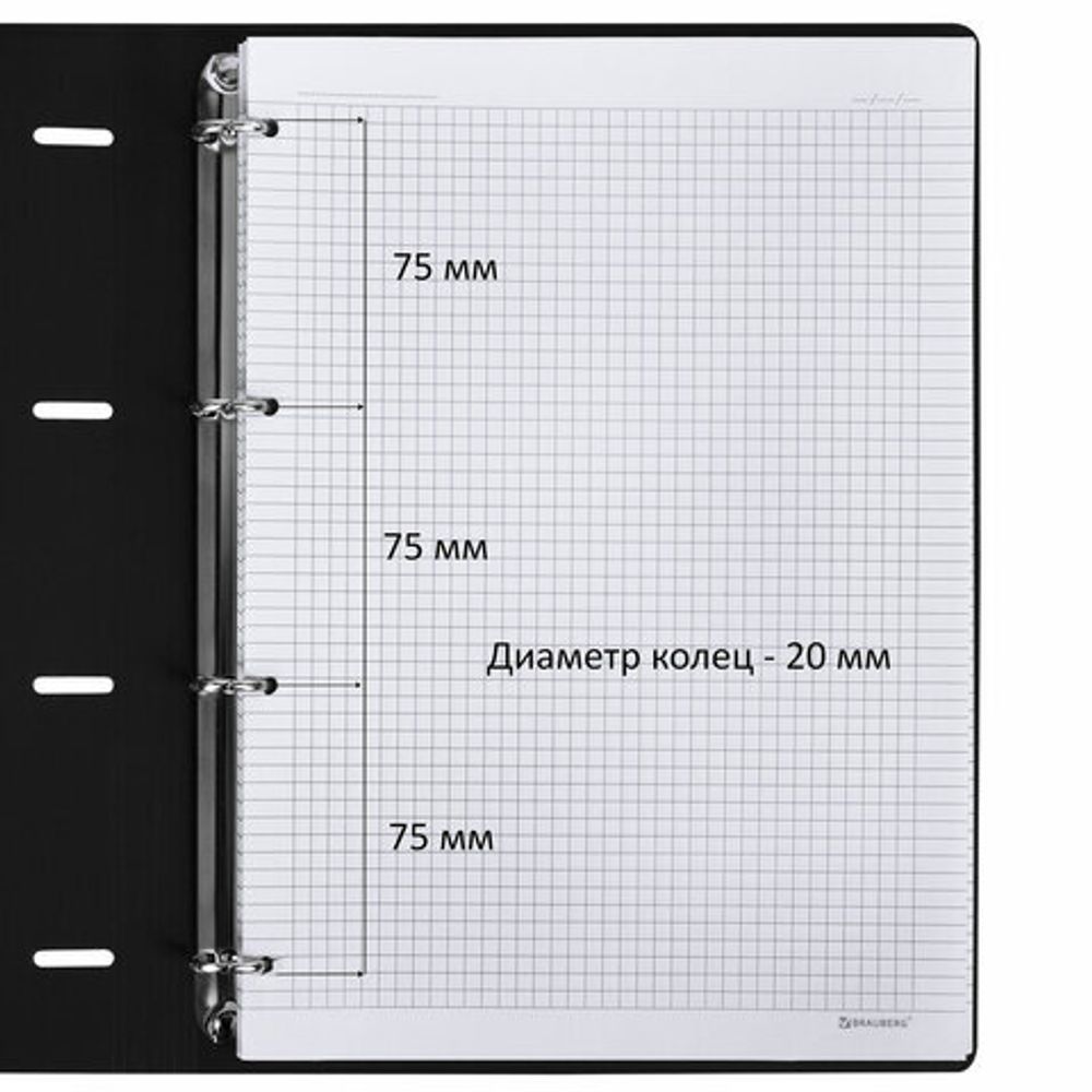 Тетрадь на кольцах БОЛЬШАЯ А4 (240х310 мм), 120 л., под кожу, BRAUBERG VISTA, Black, 404512