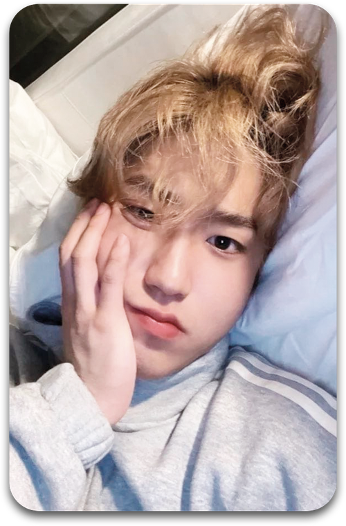 Карта / STRAY KIDS #1040