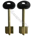 Заготовка дверняк МЕТТЭМ 9 в пластике (2 (06-01)