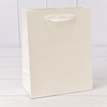 Пакет подарочный 18х23х10см (Белый, Крафт)